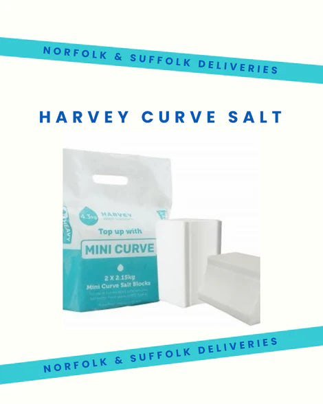 Harvey Curve Salt - Norfolk & Suffolk